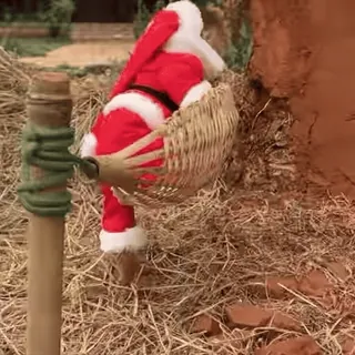 Обезьяны/Monkeys by @Ali_Express_Style telegram stickers