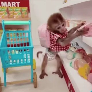 🛒 e7265eca 猿, ショッピング, 動物, スーパー, 食料品, カート telegram sticker