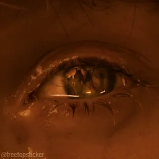 👁 26a282fb @freetopsticker occhio, occhio umano, primo piano, macro, occhio marrone, adesivo telegram sticker