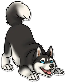 🎾 007d8ab9 หมา, ฮัสกี้, น่ารัก, ขี้เล่น, สัตว์, สัตว์เลี้ยง telegram sticker