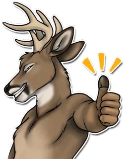 👍 db00ab4a กวาง, ยกนิ้ว, สัตว์, การ์ตูน, อนุมัติ, ชอบ telegram sticker