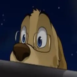 👀 6645bc90 chó, hoạt hình, kính, động vật, dễ thương telegram sticker