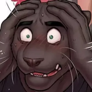 FurrosGeis telegram stickers