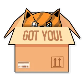 Fury Cat telegram stickers