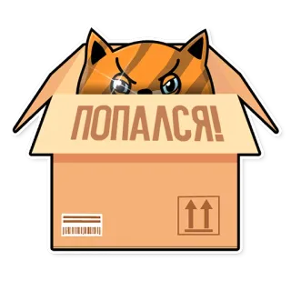💀 6a71c6fc ПОПАЛСЯ! 猫, 箱, 捕獲, 動物, 面白い, ステッカー telegram sticker