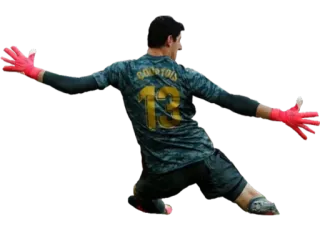 🇧🇪 421bb8b8 COURTOIS 13 sepak bola, penjaga gawang, sepak bola, olahraga telegram sticker