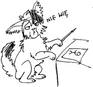 🤔 c43605a7 NIE WIĘ gatto, disegno, omino stilizzato, polacco, animale, illustrazione telegram sticker