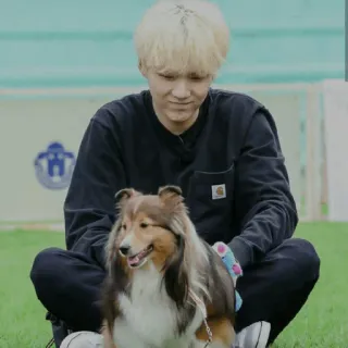 💮 a25d6770 osoba, pies, siedzący, trawa, na dworze whatsapp sticker