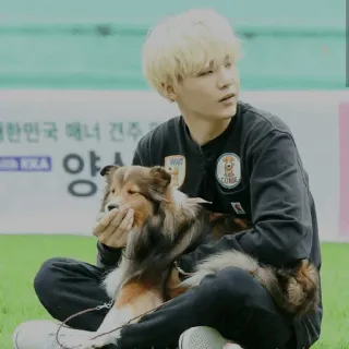 💮 a839ac35 WAIT COME pies, zwierzę domowe, zwierzę, słodki, przyjazny, zwierzę domowe, osoba, sheltie whatsapp sticker