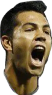 Vinotinto telegram stickers