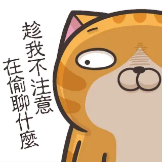 😒 53540c6c 趁我不注意 在偷偷聊什麼 Katze, lustig, Cartoon, orange, Ausdruck, Chat, Geheimnis telegram sticker