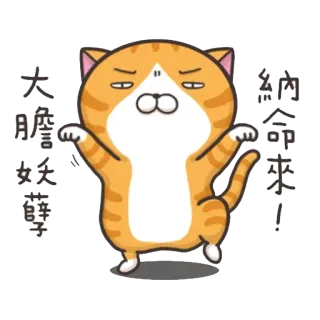 👻 77212eb4 納命來! Katze, Cartoon, Tier, Süß, Sticker telegram sticker