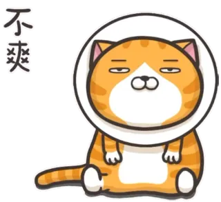 😐 9e61ab93 不爽 Katze, Tier, Cartoon, unglücklich, süß, Aufkleber telegram sticker