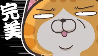 😉 c783eabc 完美 Katze, Emoji, Sticker, Süß, Lustig, Meme telegram sticker