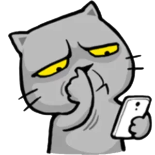 🤔 da2d1874 Katze, grinsend, Tier, Cartoon, Smartphone, genervt, Meme telegram sticker