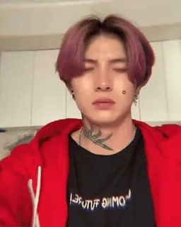 deVachkii2 :: @fStikBot whatsapp stickers