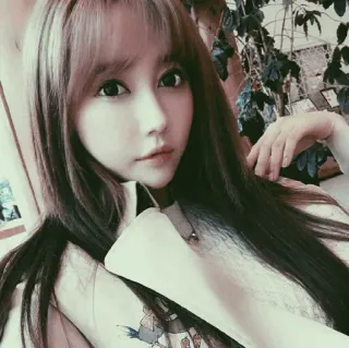 🐾 2e797195 telegram sticker