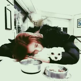 🐾 99423ed8 mulher, cachorro, animal de estimação, interior, retrato, animal telegram sticker