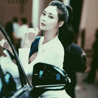 🐾 bcb78e11 GARDEN mulher, asiática, retrato, beleza, moda, carro telegram sticker