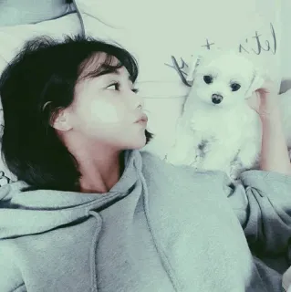 🐾 c57c432d mulher, cachorro, fofo, animal, selfie, animal de estimação, retrato, interior, pessoa telegram sticker