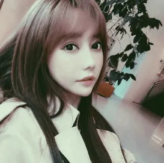 🐾 d84dfa19 telegram sticker