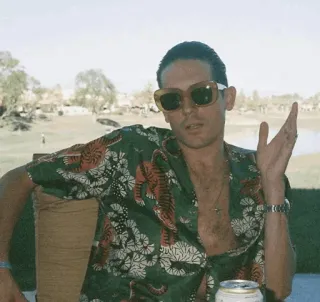 〰 b9bc0d2f homem, óculos de sol, camisa de tigre, camisa havaiana, interior, gesto whatsapp sticker