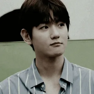 🕊 8d352de2 telegram sticker