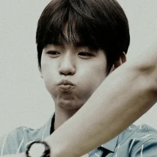 🕊 f22fdf7e telegram sticker