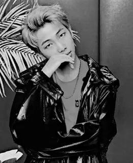 ⚫️ b4641097 RM RM, BTS, K-POP, アイドル, 音楽, ポートレート, 韓国, 歌手, リーダー, ラッパー telegram sticker