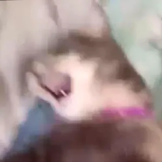 😩 2d2cc73a telegram sticker