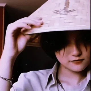 ⛓️ 66050c68 person, asian hat, vietnamese hat, portrait, face, woman telegram sticker