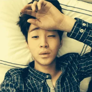 🐹 ddb582ca telegram sticker