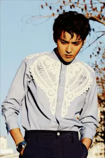 🍃 9af969db Kris Wu männlich, person, schauspieler, sänger, promi, kris wu telegram sticker