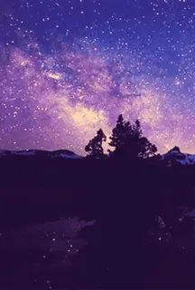 🌌 3345943c Nacht, Sterne, Himmel, Landschaft, Bäume, Berge telegram sticker