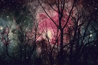 🌌 5b2f998b Bäume, Nacht, Sterne, Himmel, Nebel, Weltraum telegram sticker