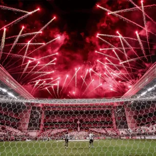 Galo whatsapp stickers