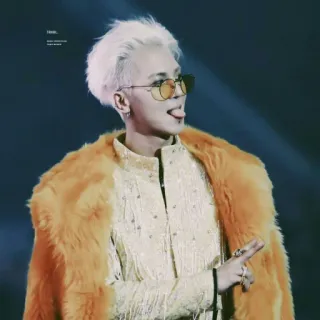 🌪 bfed81f3 pria, orang, kacamata hitam, mode, mantel bulu, gaya telegram sticker