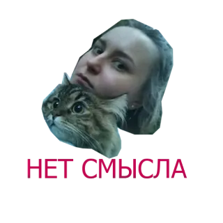 😱 04874d7d telegram sticker