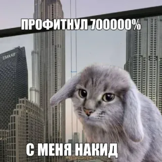 🤩 6421c9db ПРОФИТНУЛ 700000%
С МЕНЯ НАКИД кот, мем, русский, успех, прибыль whatsapp sticker