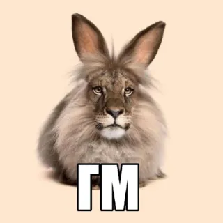 🤩 daff4992 ΓΜ животное, лев, кролик, гибрид, смешной whatsapp sticker