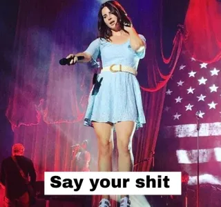 🎤 0df450ff Lana Del Rey Say your shit lana del rey, music, microphone, pop culture, american flag, celebrity whatsapp sticker