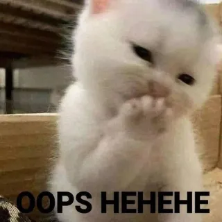 🙊 15125e13 OOPS HEHEHE kucing, anak kucing, ups, lucu, hewan whatsapp sticker
