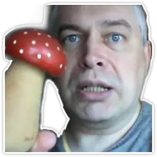 🍄 64c73c2a homme, champignon, portrait, visage, jouet telegram sticker