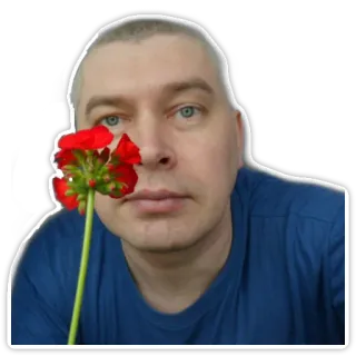 🌹 99ccf73b homme, fleur, personne, portrait, selfie, chemise bleue telegram sticker