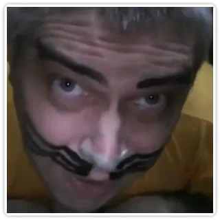 😺 d8a98331 telegram sticker