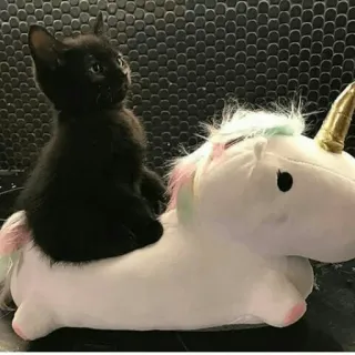 🌝 65199648 cat, kitten, black cat, unicorn, plush toy, animal, cute, fantasy whatsapp sticker