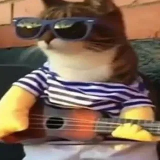 😎 638e5bfb Katze, Sonnenbrille, Gitarre, Tier, Musik, Haustier telegram sticker