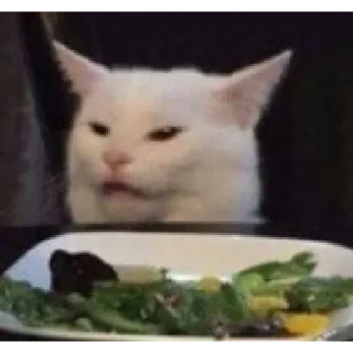 😑 7fc5f93d Katze, Meme, Ekel, Salat, lustig telegram sticker