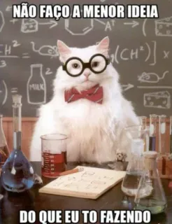 🤔 967c1677 NÃO FAÇO A MENOR IDEIA
DO QUE EU TO FAZENDO Katze, Wissenschaft, lustig, Experiment, Chemie telegram sticker