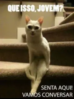 😅 a2cede7c QUE ISSO, JOVEM?
SENTA AQUI!
VAMOS CONVERSAR Katze, Meme, Lustig, Tier, Treppe telegram sticker